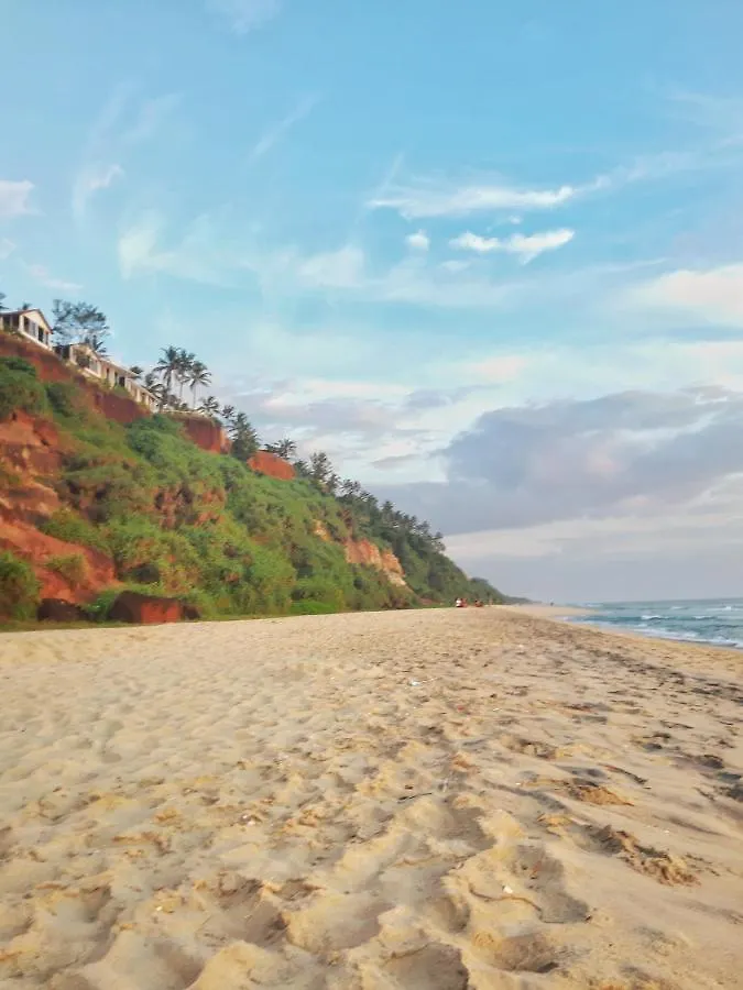 Hotel Pura Vida Varkala 0*,
